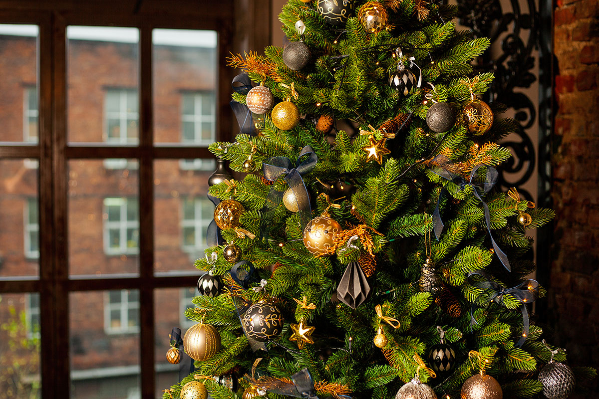 Zeg vaarwel tegen traditionele kerstbomen: deze chique en milieuvriendelijke alternatieve keuze is een hit dit jaar