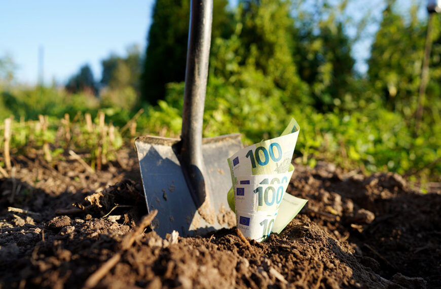 Transformeer uw tuin gratis dankzij deze overheidssteun van 2000€