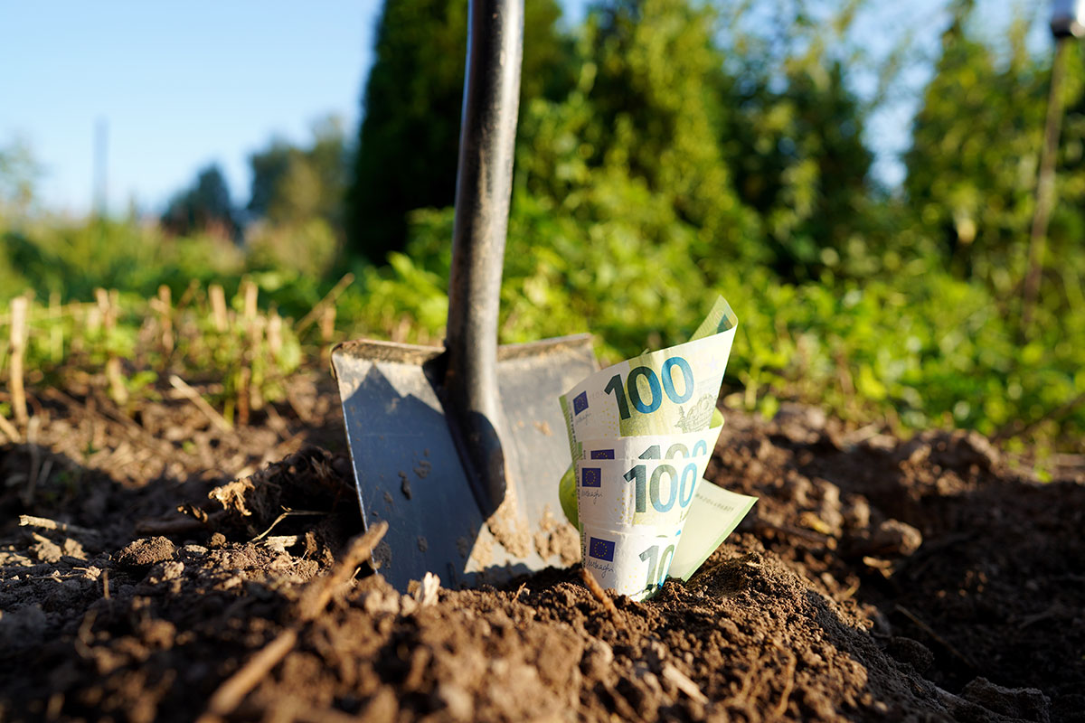 Transformeer uw tuin gratis dankzij deze overheidssteun van 2000€