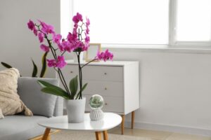 Het is mogelijk om een orchidee met verwelkte bloemen te redden met een eenvoudige methode