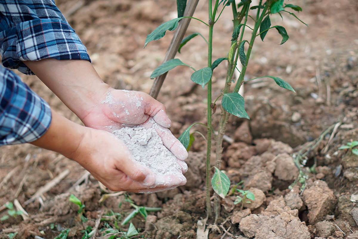 Pelletas kan de beste vriend of de ergste vijand van je tuin zijn