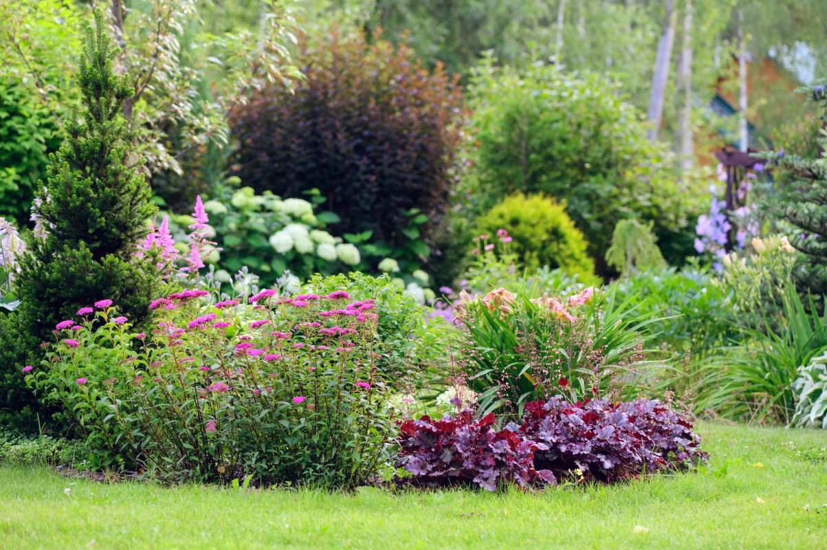 Zaai nu deze 7 bloemzaden voor een spectaculaire tuin deze zomer