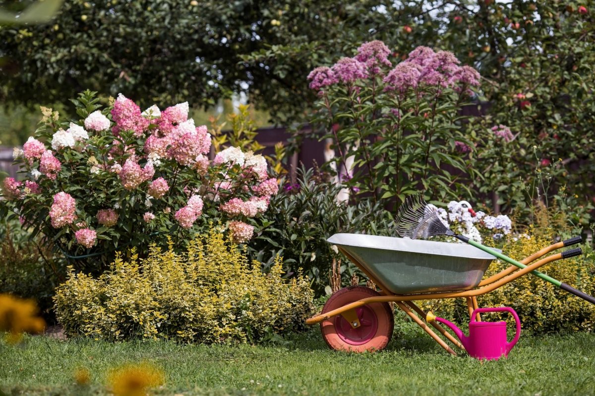 Aluminiumfolie: 10 weinig bekende tips om uw tuin gemakkelijk te onderhouden